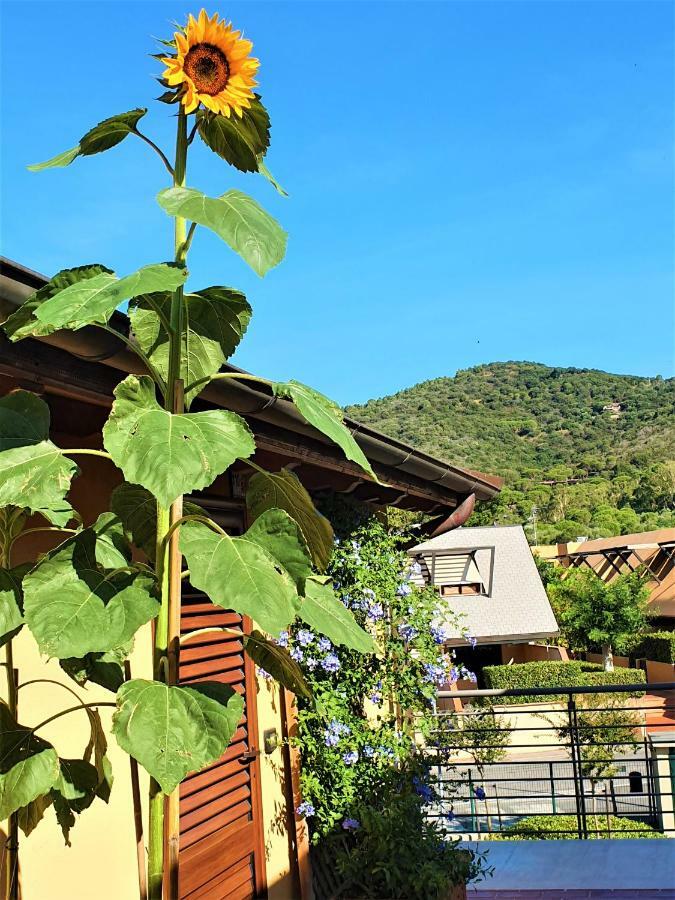 "La Terrazza Di Castiglione" Appartamenti Vacanza Castiglione della Pescaia Zewnętrze zdjęcie
